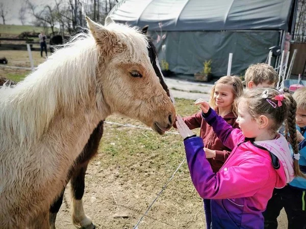 Na farmě 10