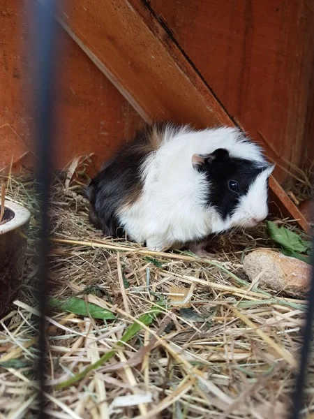 Na farmě 2