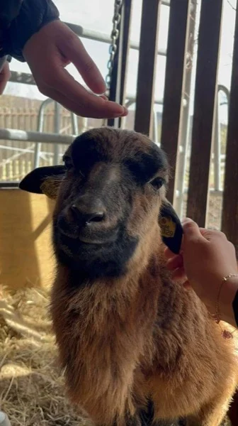 Na farmě 3