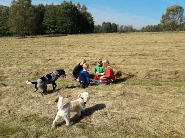 Hra ve skalách 6