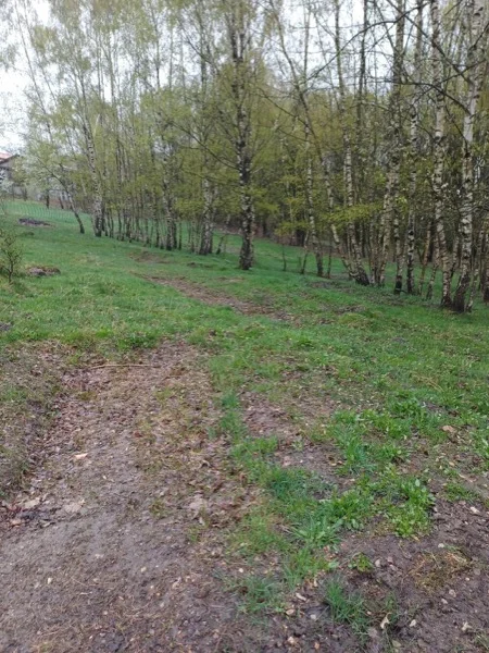 Zázemí 4